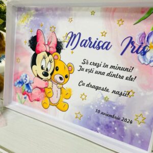 TRUSOU BASIC "MINNIE MOV"