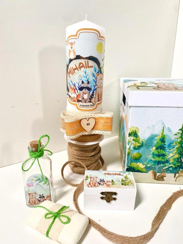 TRUSOU BAIETEL - "FOREST ANIMALS"