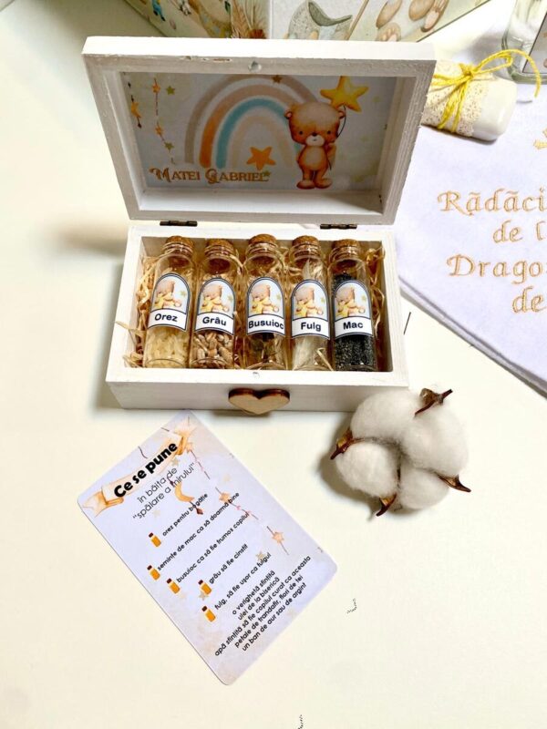 SET MIR 5 "TEDDY BEAR ON MOON"