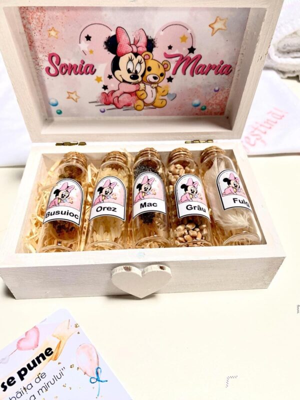 SET MIR 5 "PINK MINNIE ON MOON"