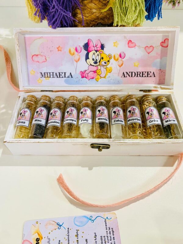 SET MIR 10 "PINK MINNIE ON MOON"