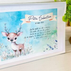 Alternative view of TRUSOU BOTEZ "MICUL REN"